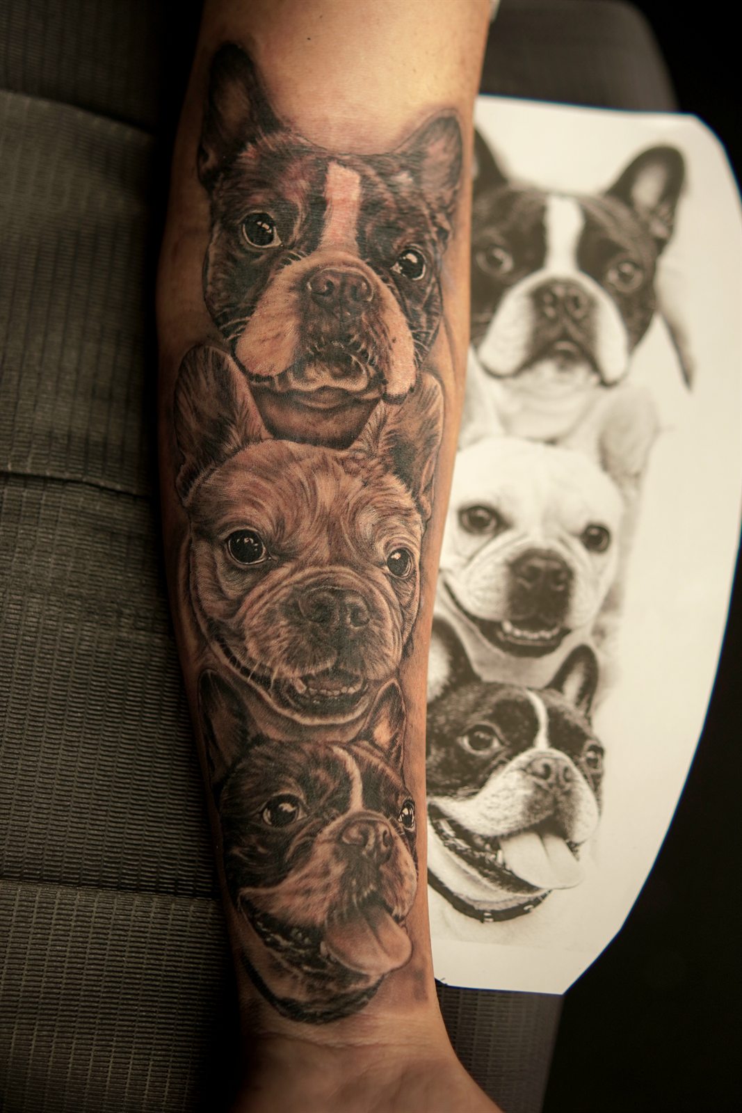 Realistic tattoo of French bulldogs on a forearm